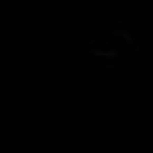 zavieh09